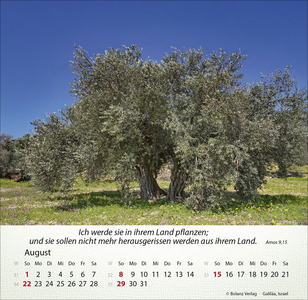 Israel Shalom 2027 - Tischkalender