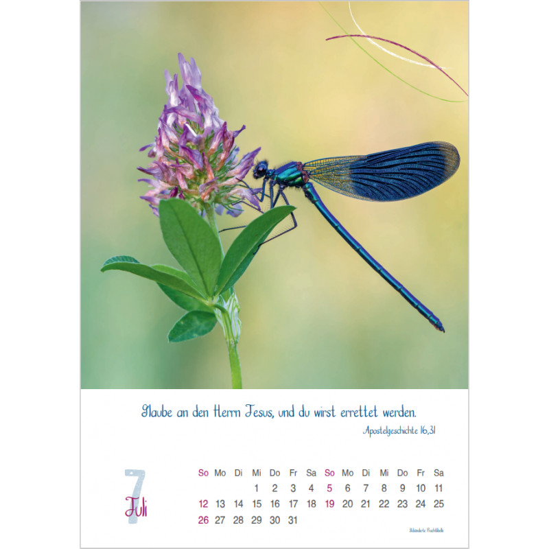 Natur 2026 - Fotokalender