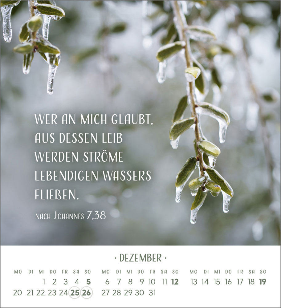 Zarte Blumengrüße 2027 - Tischkalender
