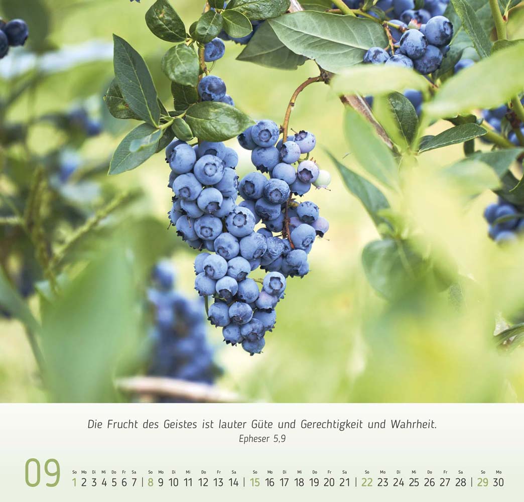 Gesichter der Natur 2024 Gesichter der Natur 2024