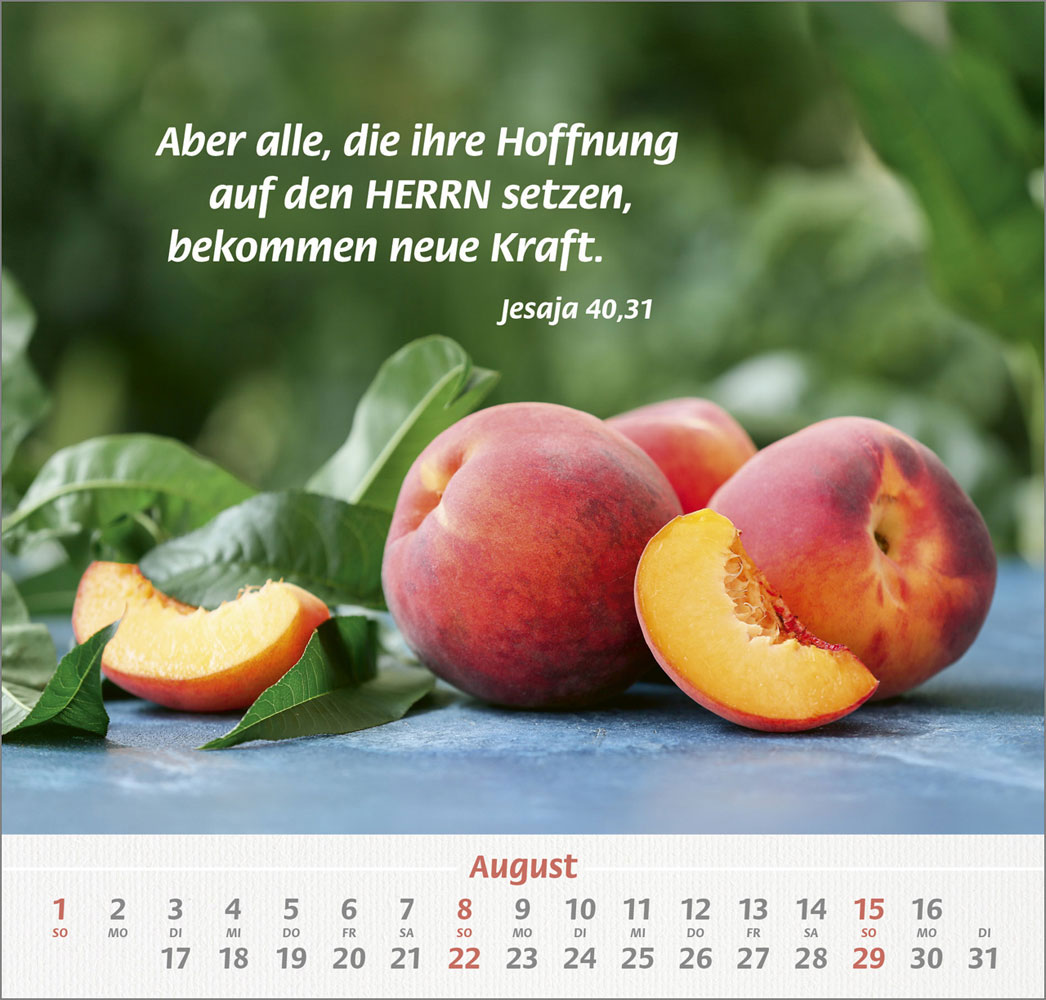 Denn du bist bei mir 2027 - Grossdruck-Kalender