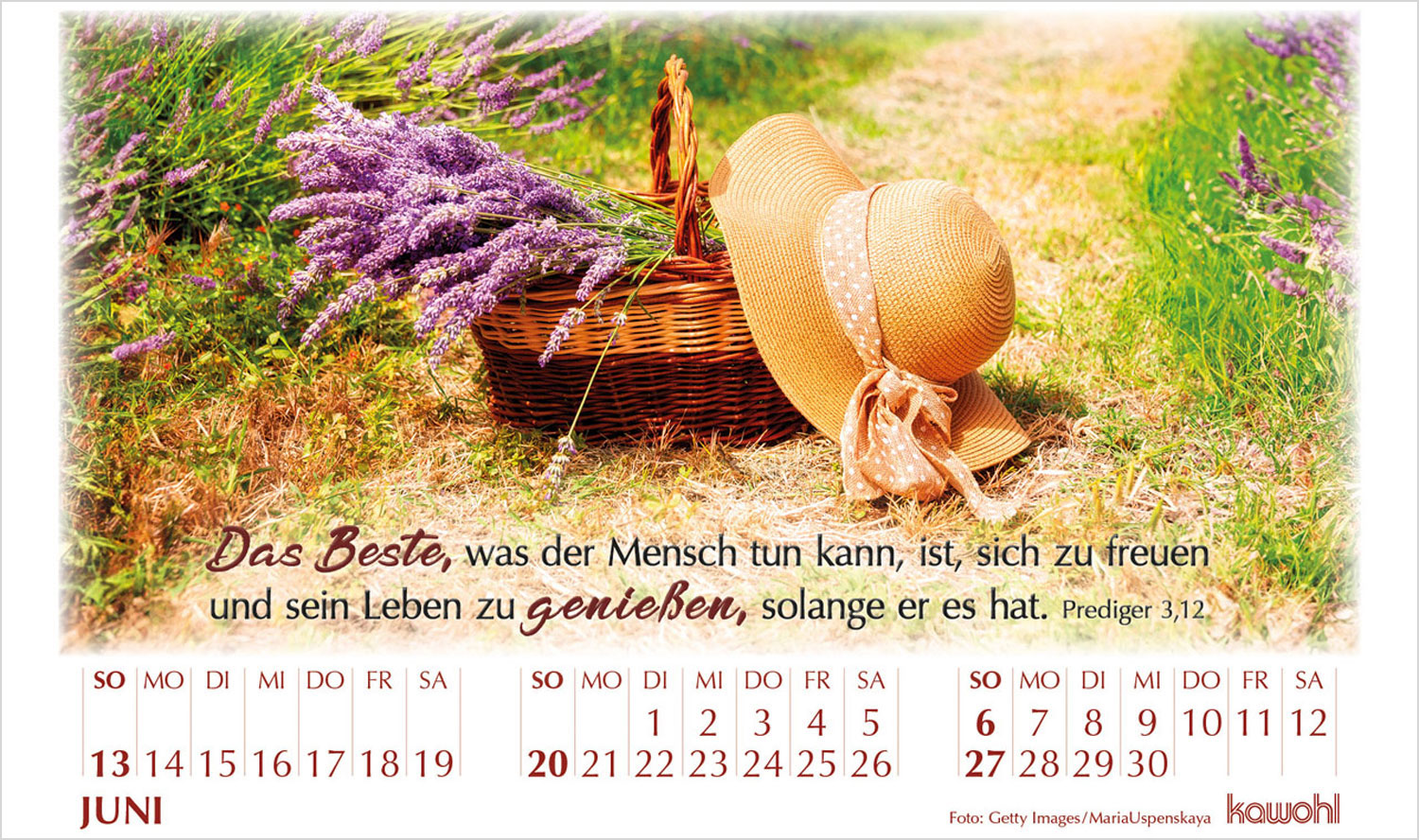 In seinem Licht 2027