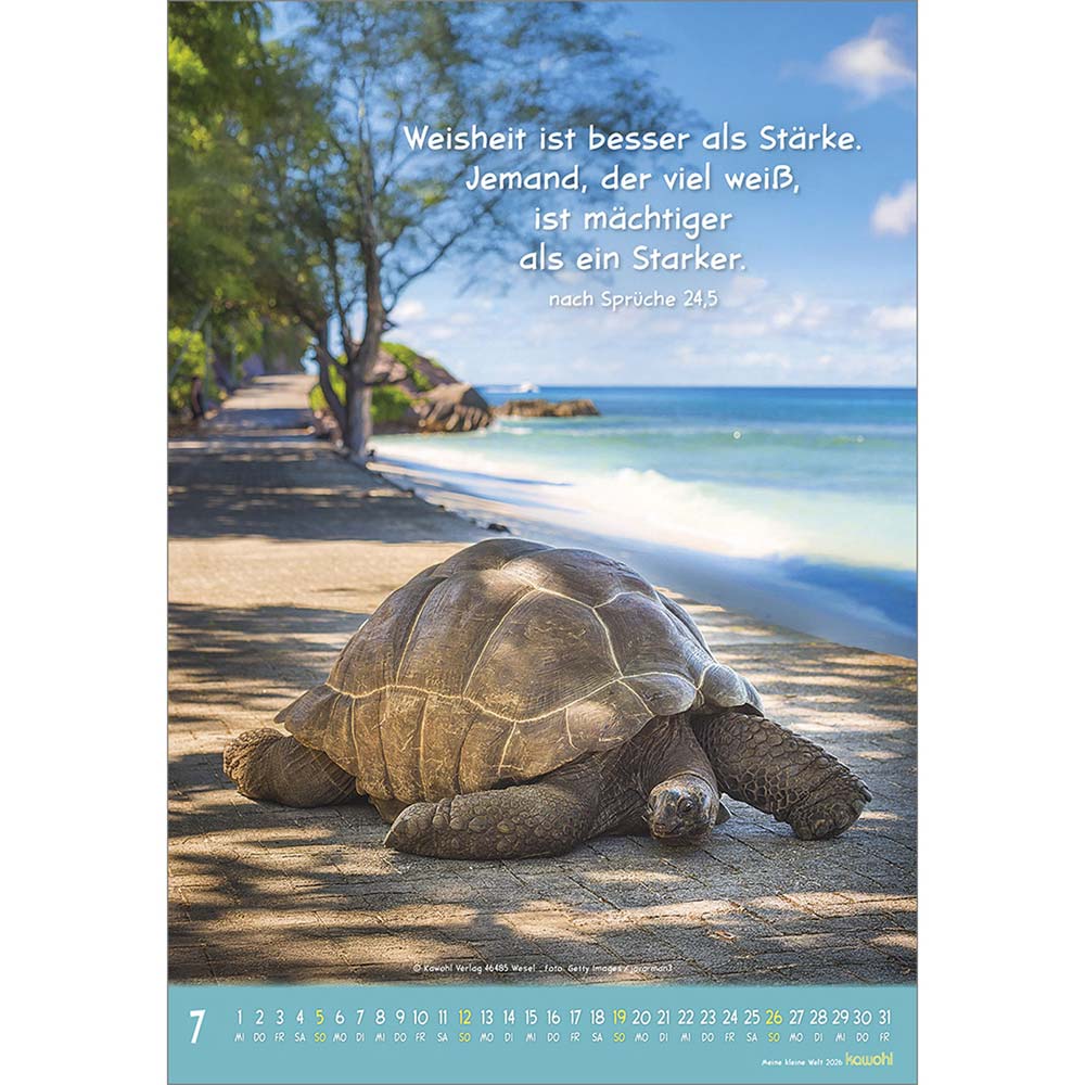 Meine kleine Welt 2026 - Wandkalender