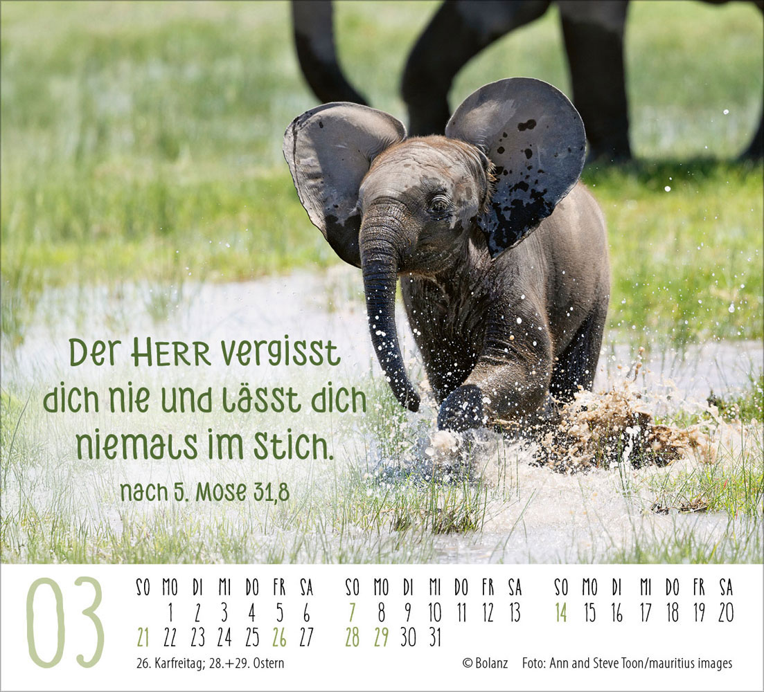 Begegnungen 2027 - Minikalender