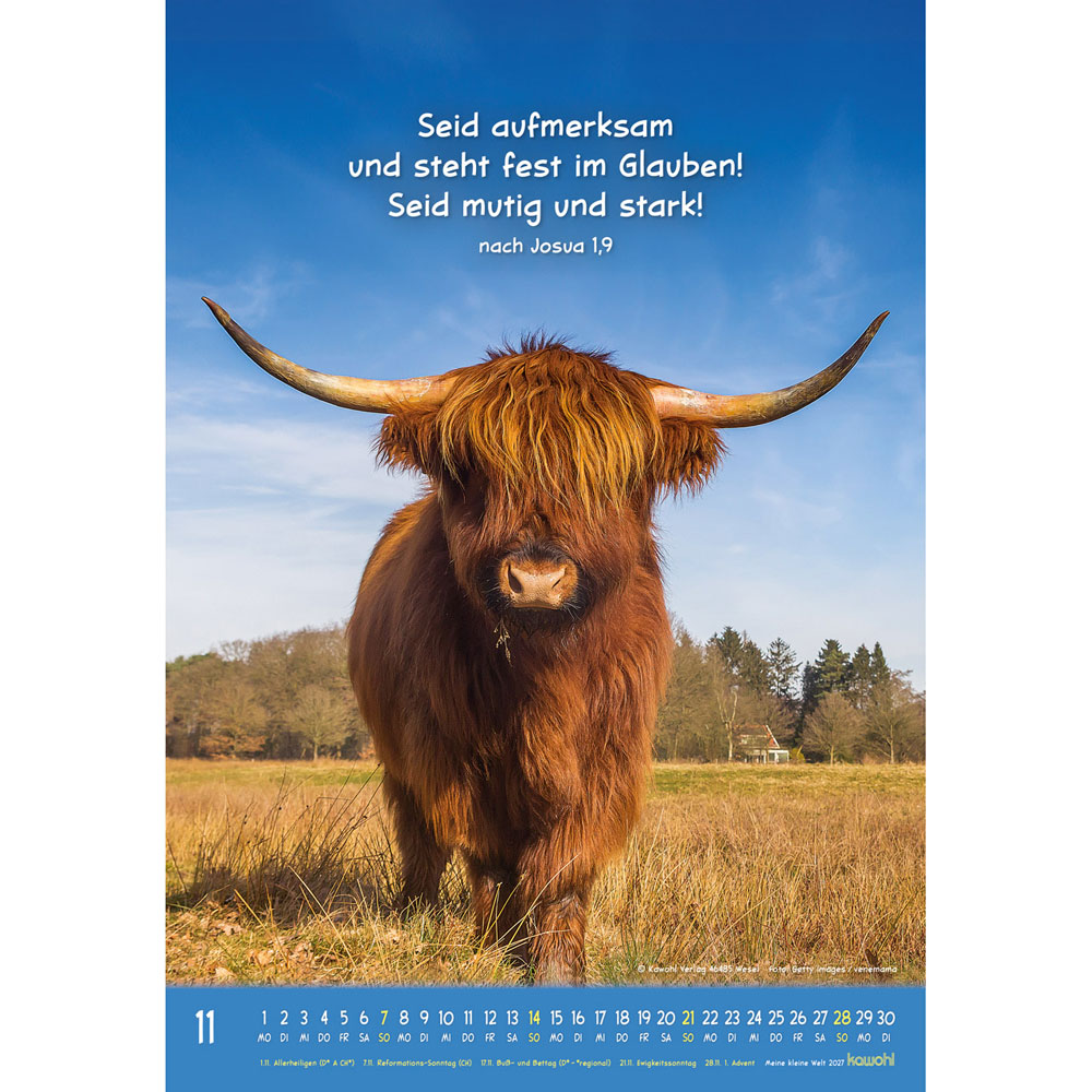 Meine kleine Welt 2027 - Wandkalender