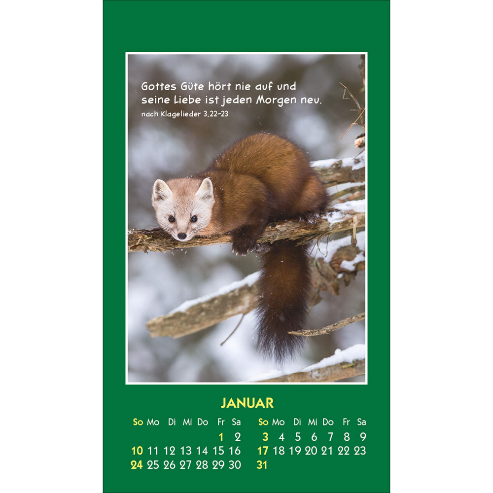 Hallo Du 2027 - Aufkleber-Kalender