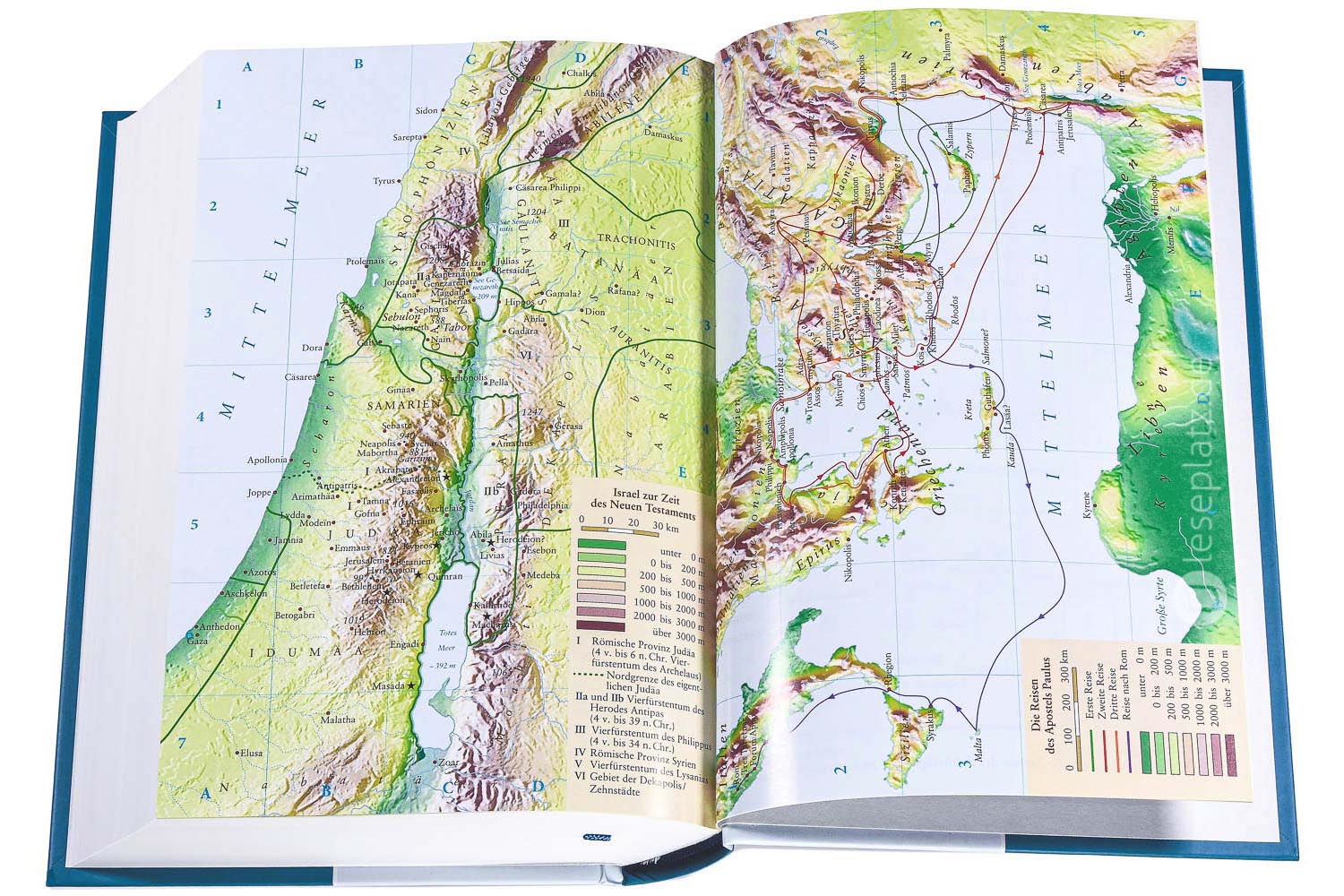 Neues Leben. Die Bibel - Standardausgabe "Motiv Natur"