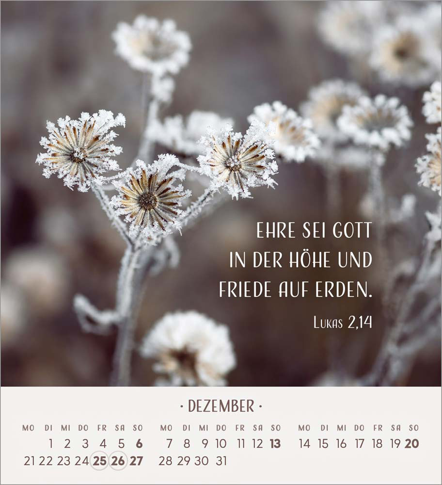 Zarte Blumengrüße 2026 - Tischkalender