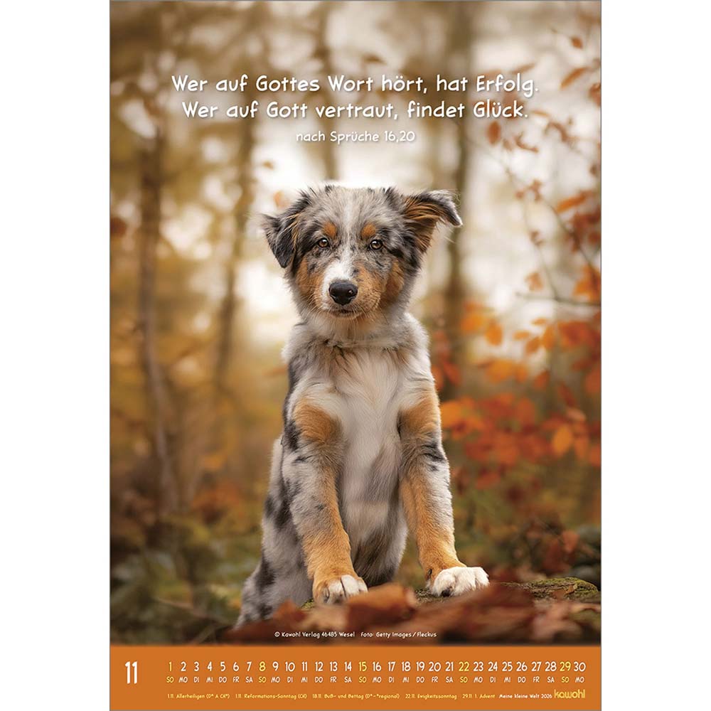 Meine kleine Welt 2026 - Wandkalender