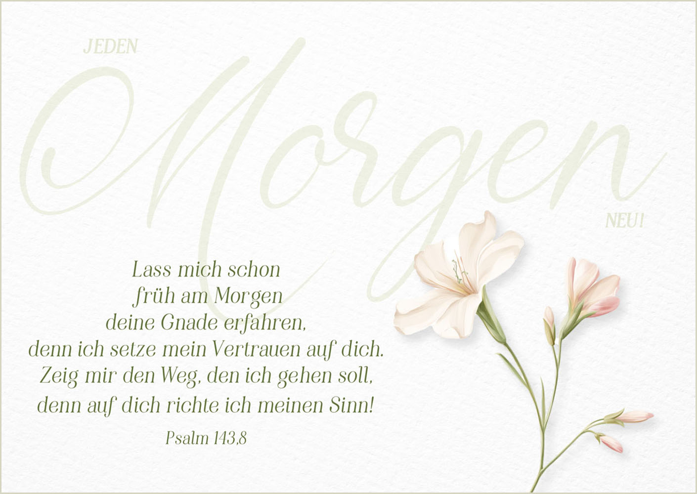 Postkarte "Jeden Morgen neu"