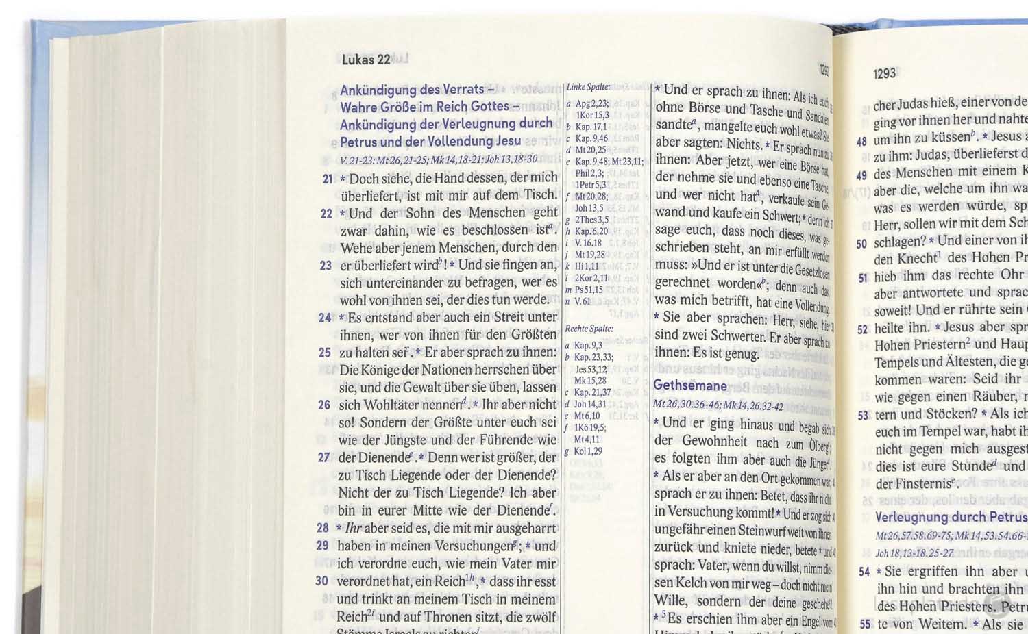 Elberfelder Bibel 2006 Taschenausgabe - Motiv Möwen