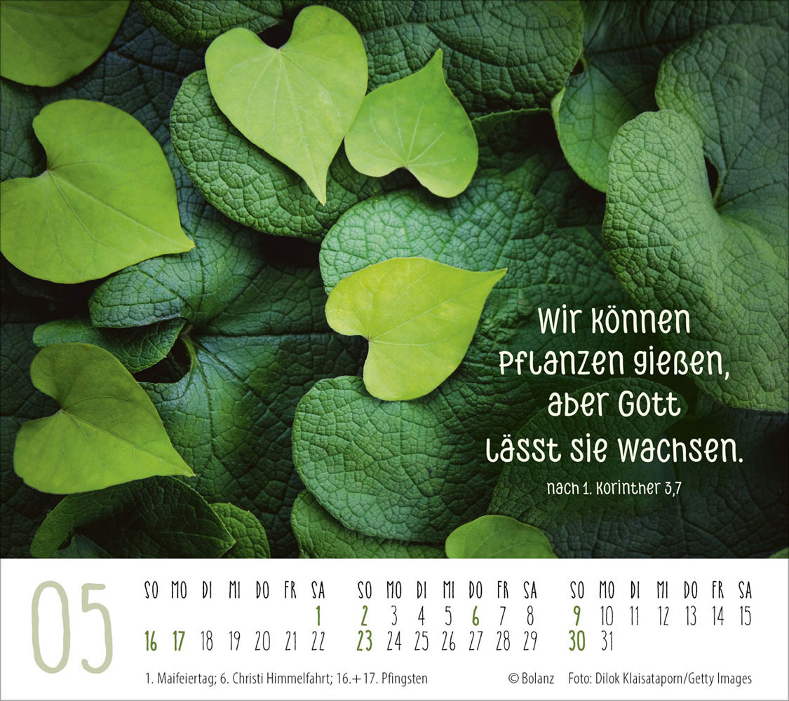 Gute Wünsche für dich 2027 - Tischkalender
