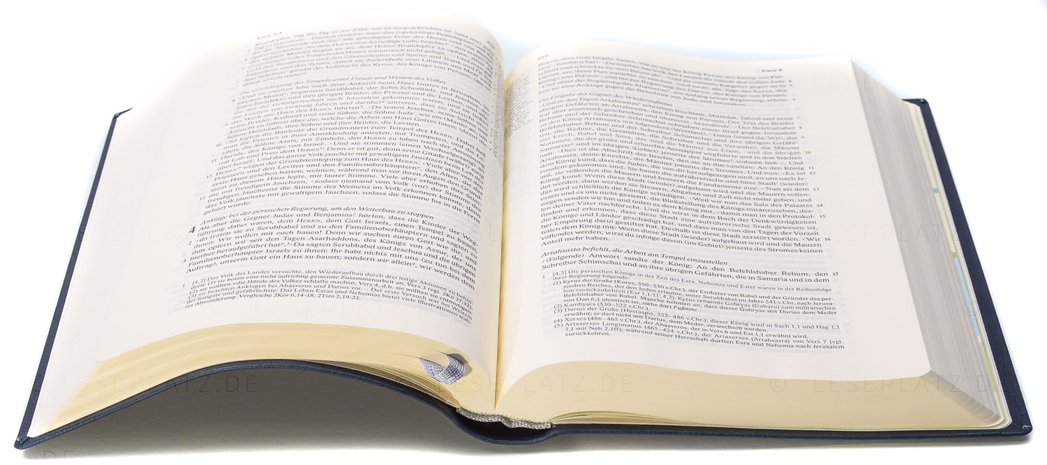 271200_06 Scofield Bibel - Kunstleder flexibel