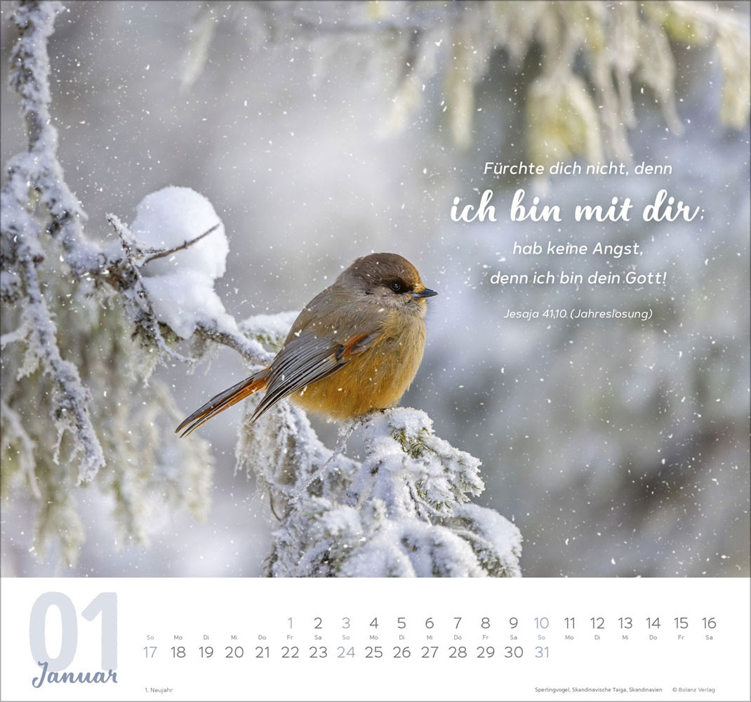 Meine Zeit 2027 - Wandkalender