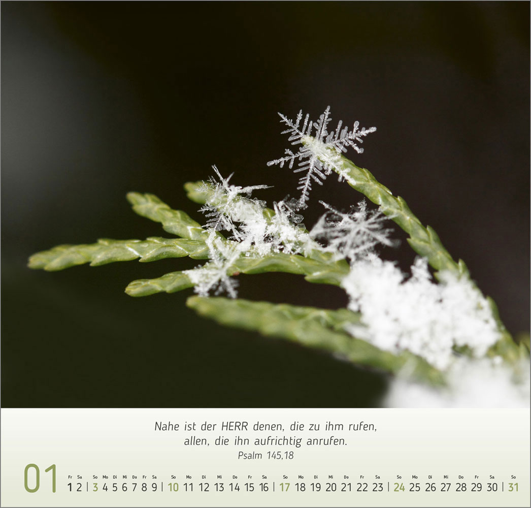 Gesichter der Natur 2027