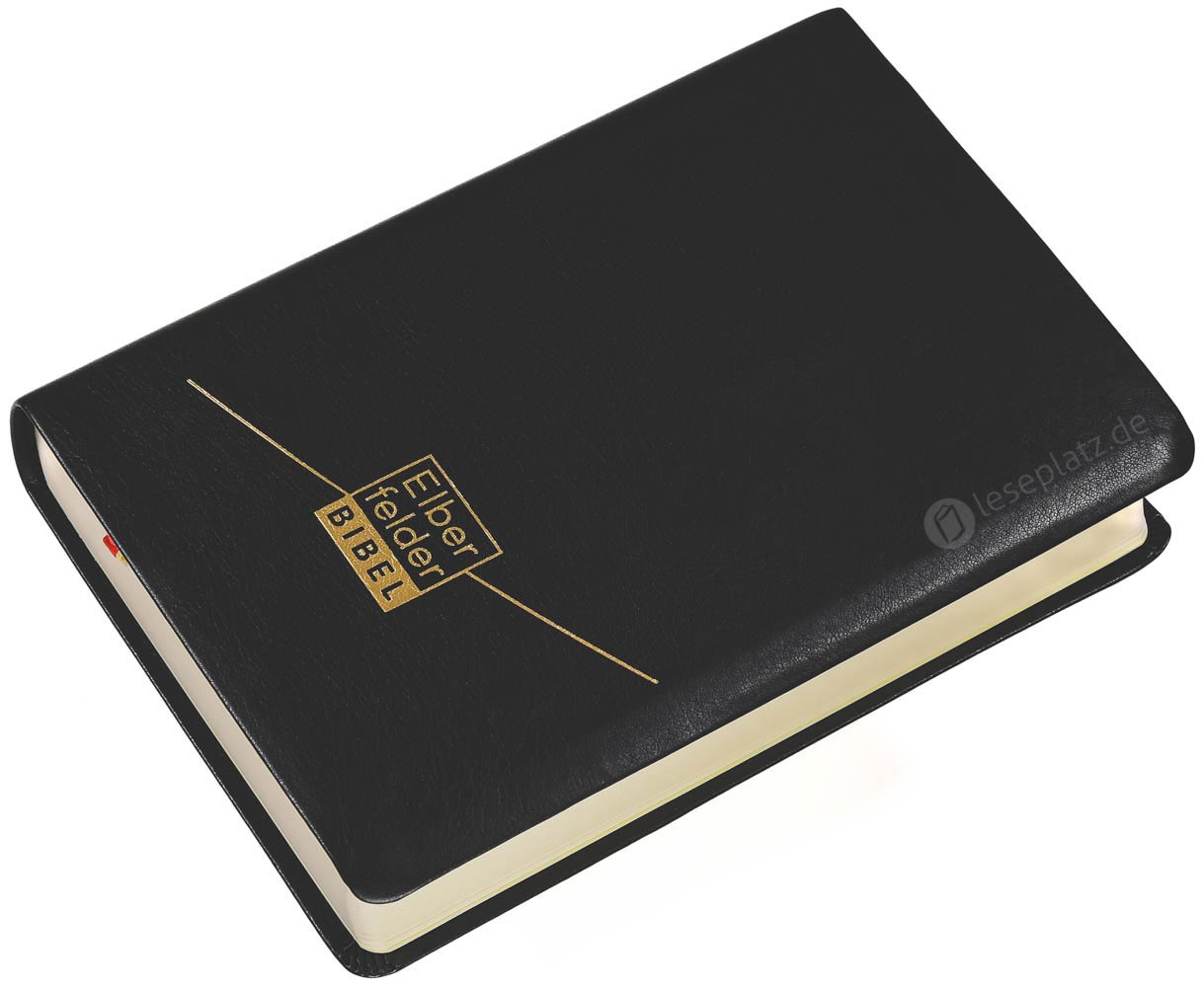 Elberfelder Bibel 2006 Standardausgabe - Kunstleder schwarz