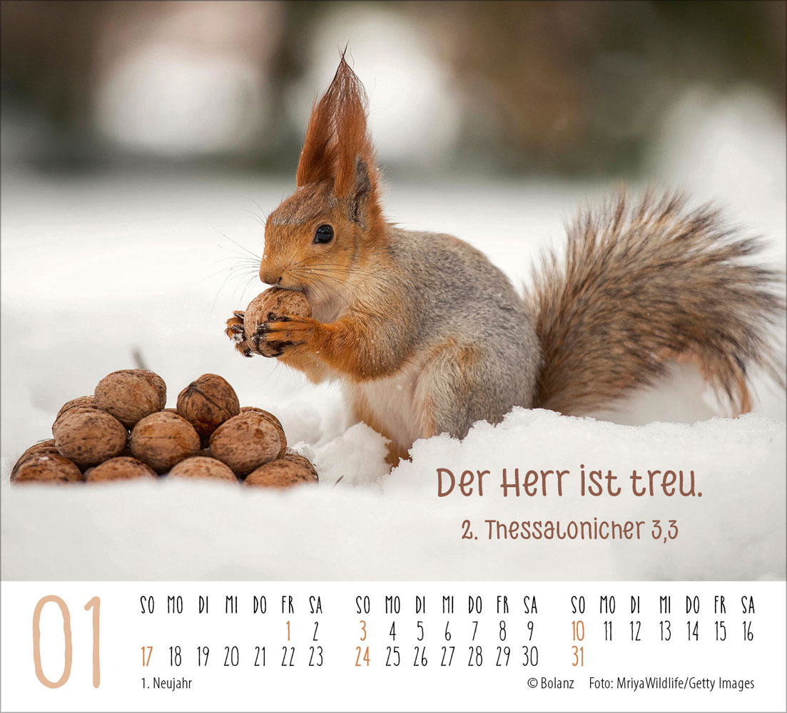 Begegnungen 2027 - Minikalender