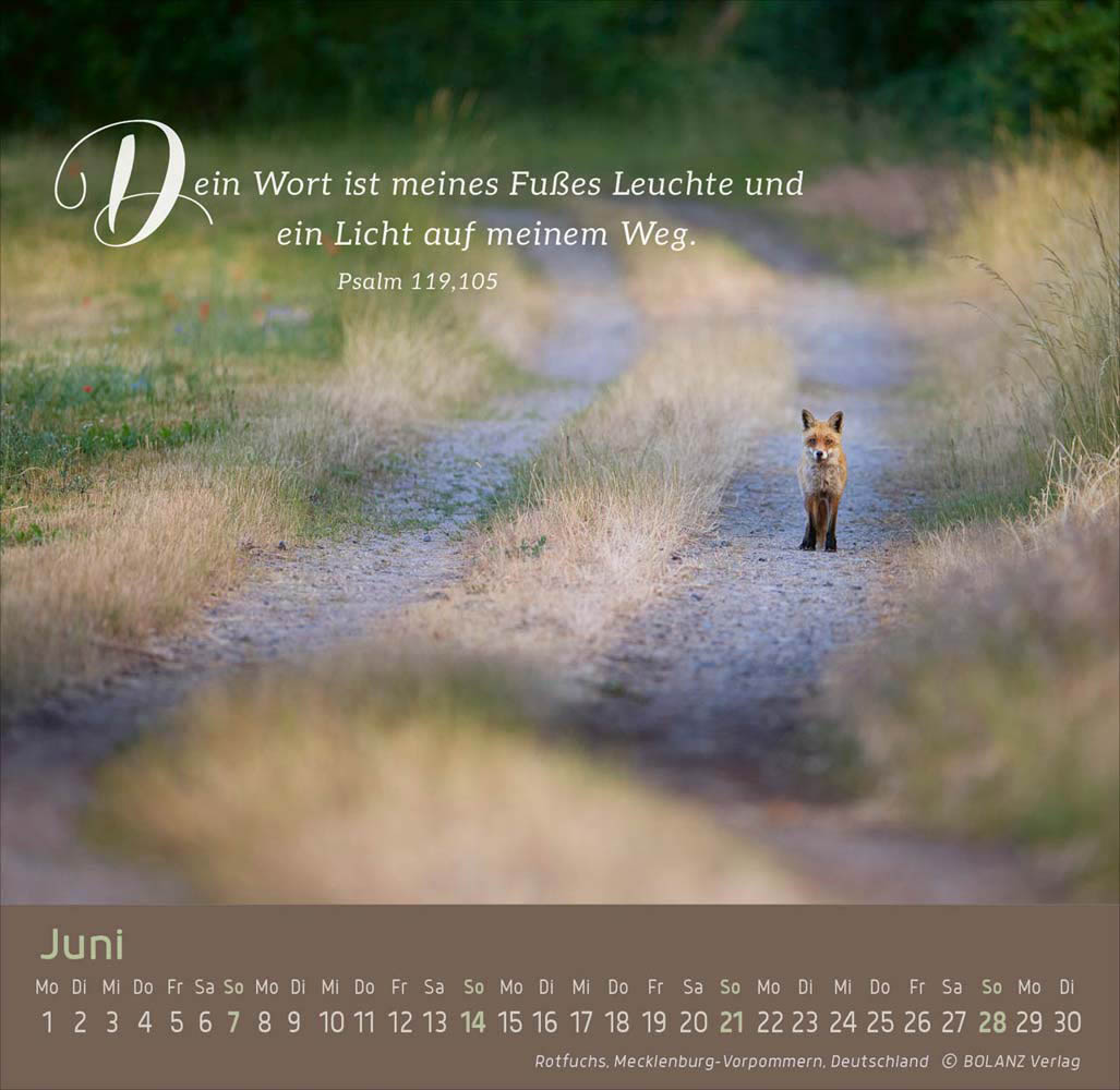 Weg - Licht - Leben 2026 - Tischkalender
