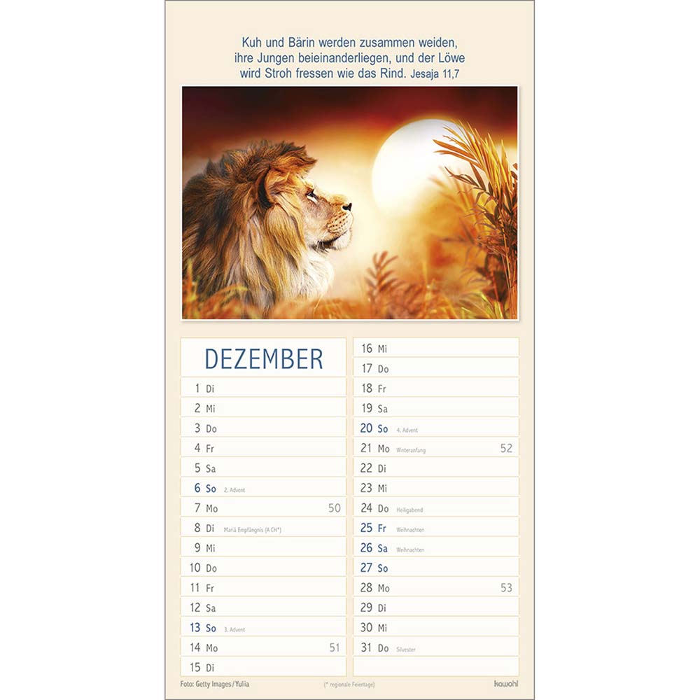 Meine Zeit in seinen Händen 2026 - Wandkalender