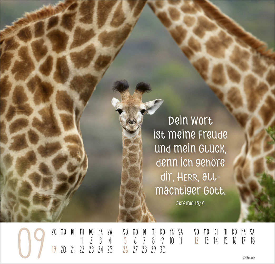 Beste Freunde - Ich mag dich  2027 - Posterkalender