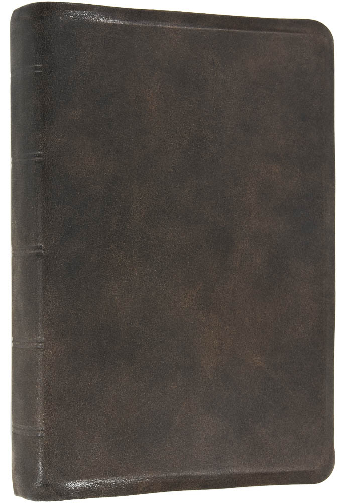 Elberfelder Bibel 2006 mit Schreibrand - in Leder gebunden