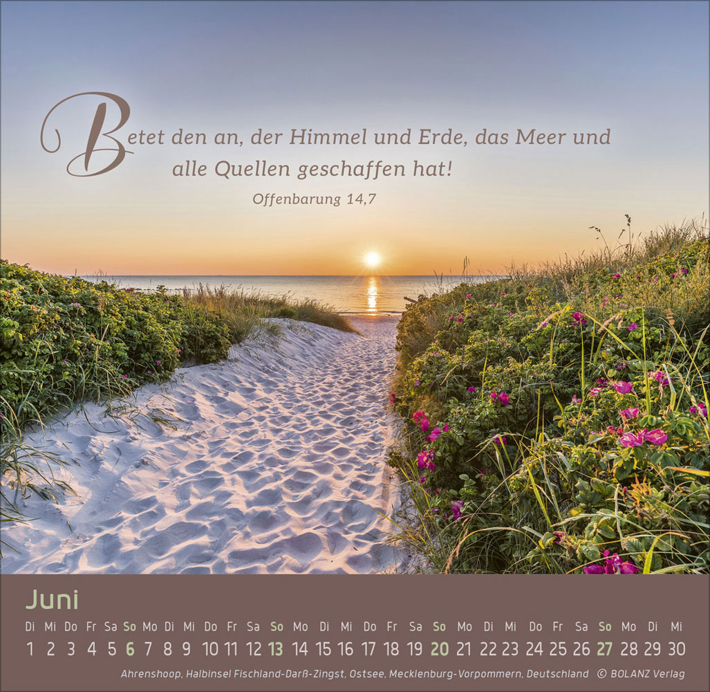 Weg - Licht - Leben 2027 - Tischkalender