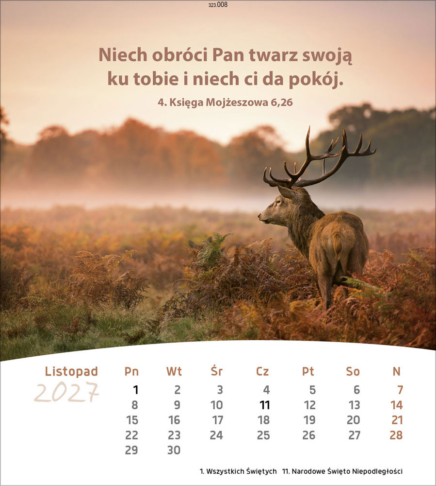 Leben für Dich 2027 - Verteilkalender (Polnisch)
