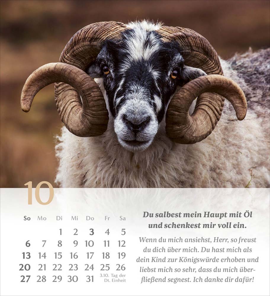 Psalm 23 - Tischkalender 2024 Psalm 23 - Tischkalender 2024