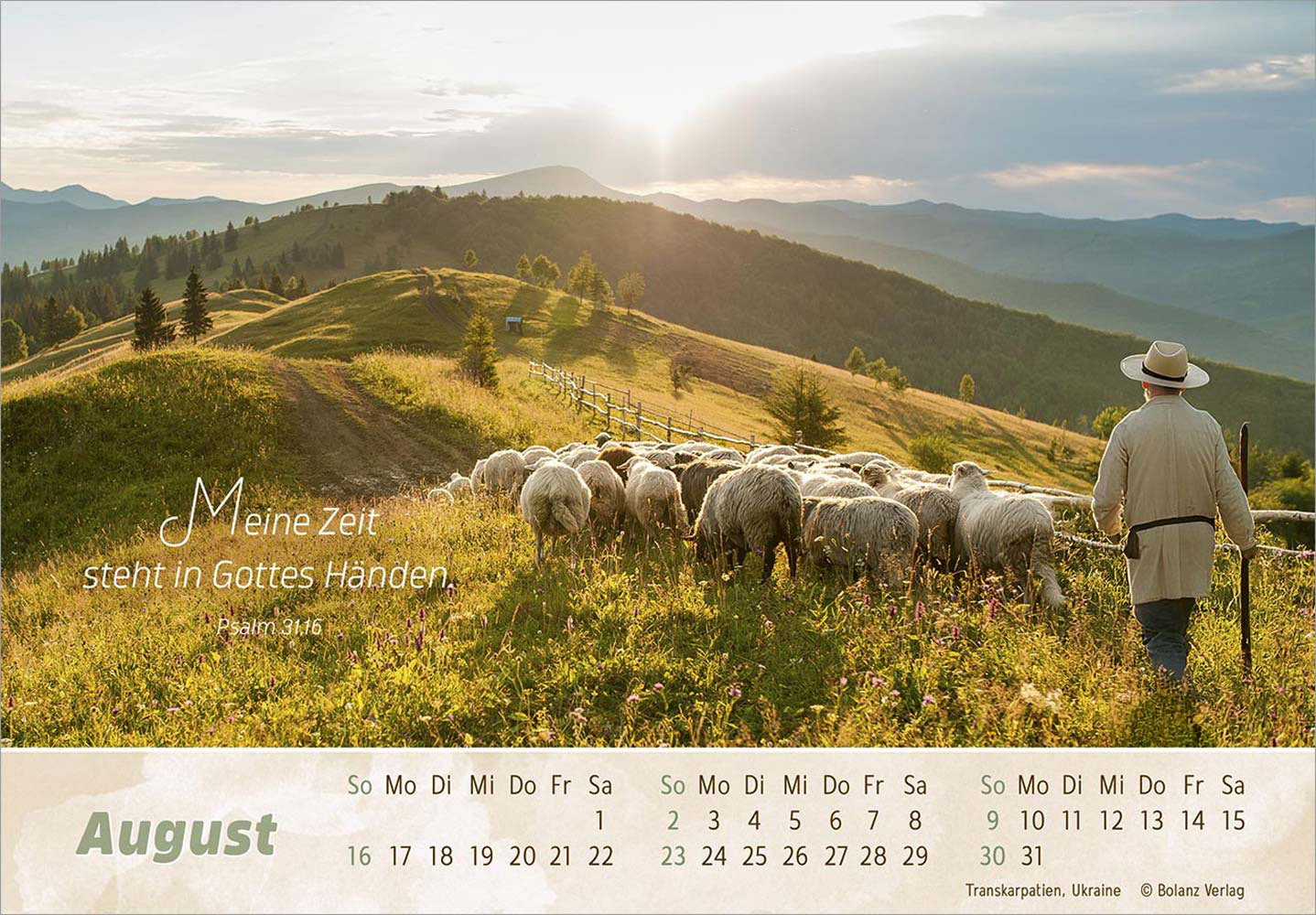Der Gute Hirte 2026 - Postkartenkalender