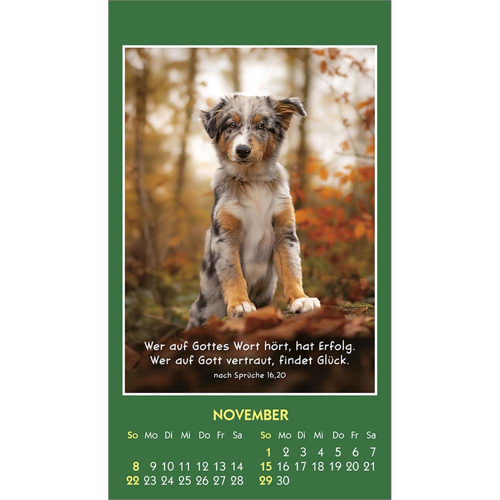 Hallo Du 2026 - Aufkleber-Kalender Hallo Du 2026 - Aufkleber-Kalender