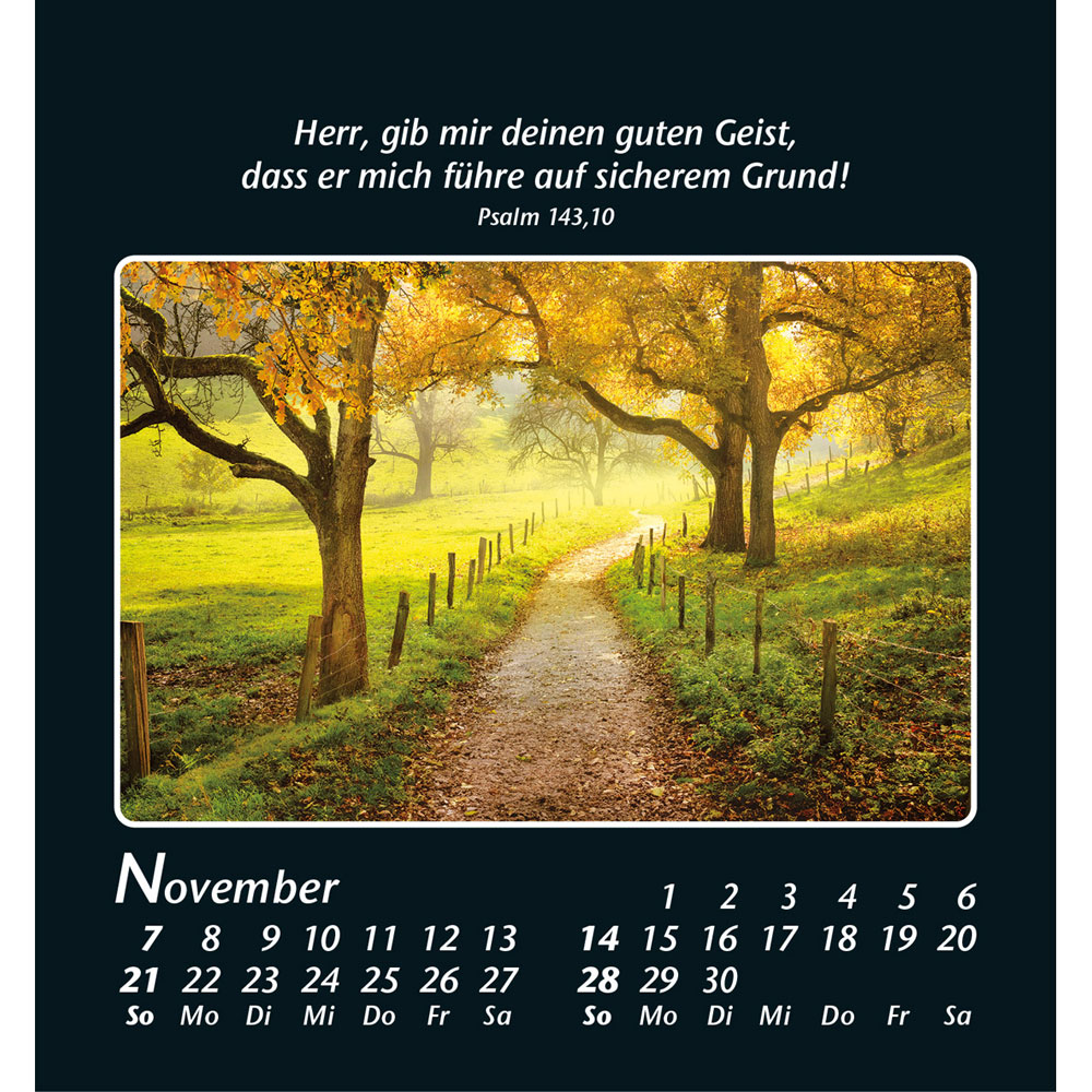 Zeit der Stille 2027