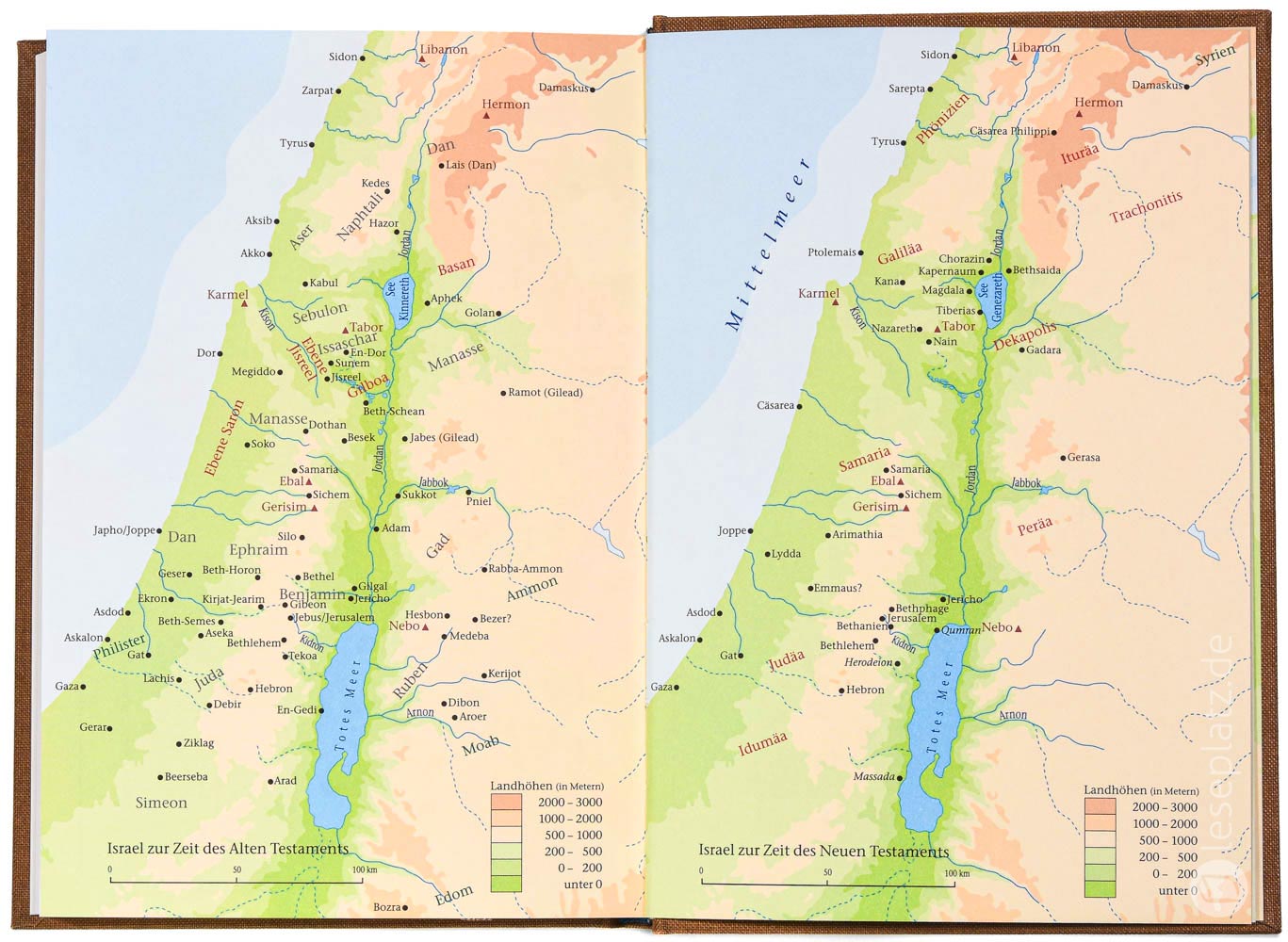 Elberfelder 2003 - Taschenausgabe / Hardcover Leinen sandbraun