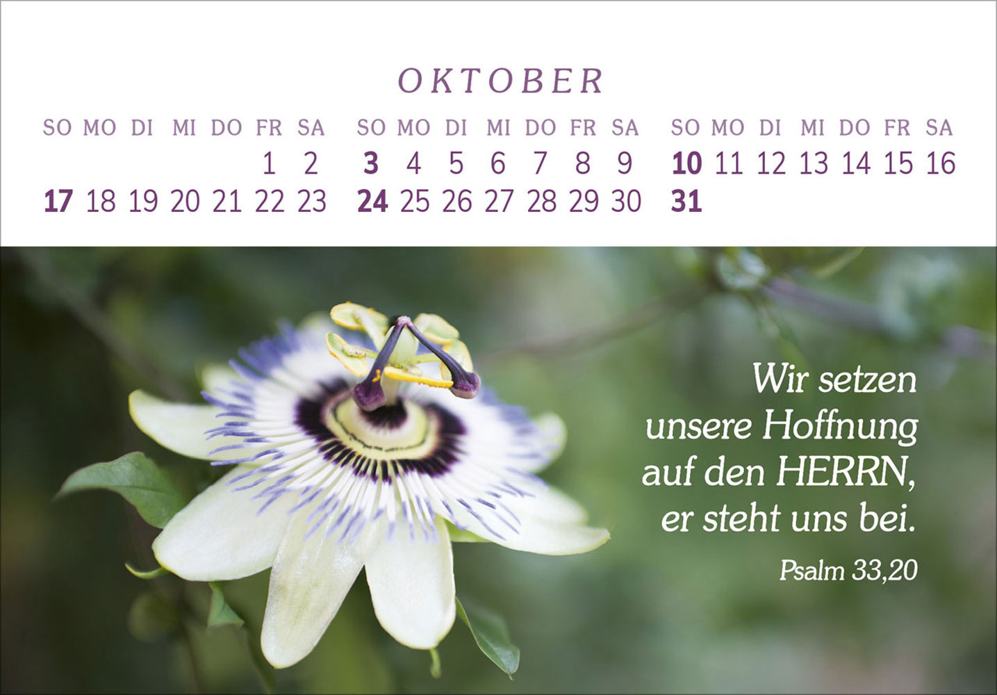 Das Geschenk der Freude 2027