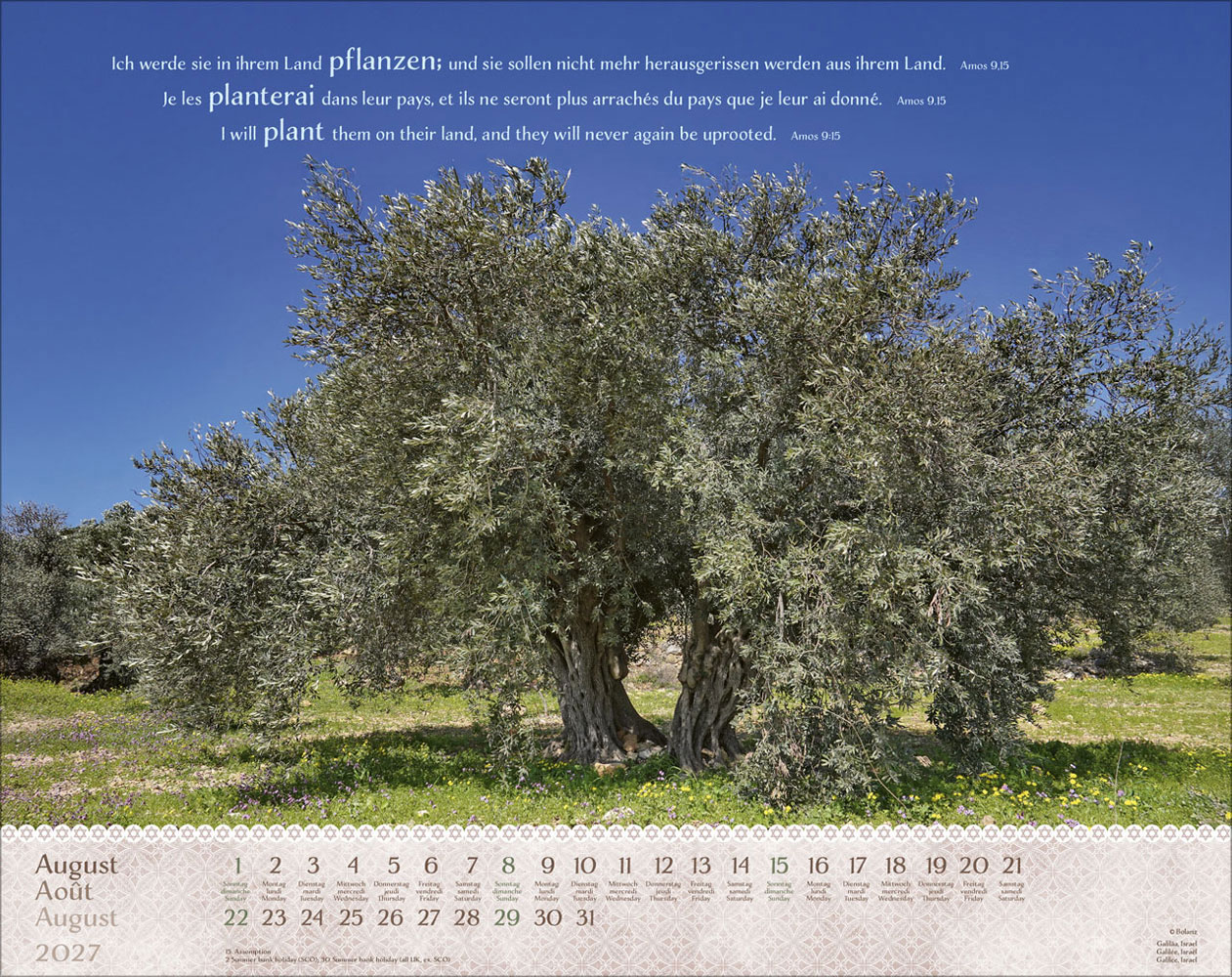 Israel Shalom 2027 - Wandkalender