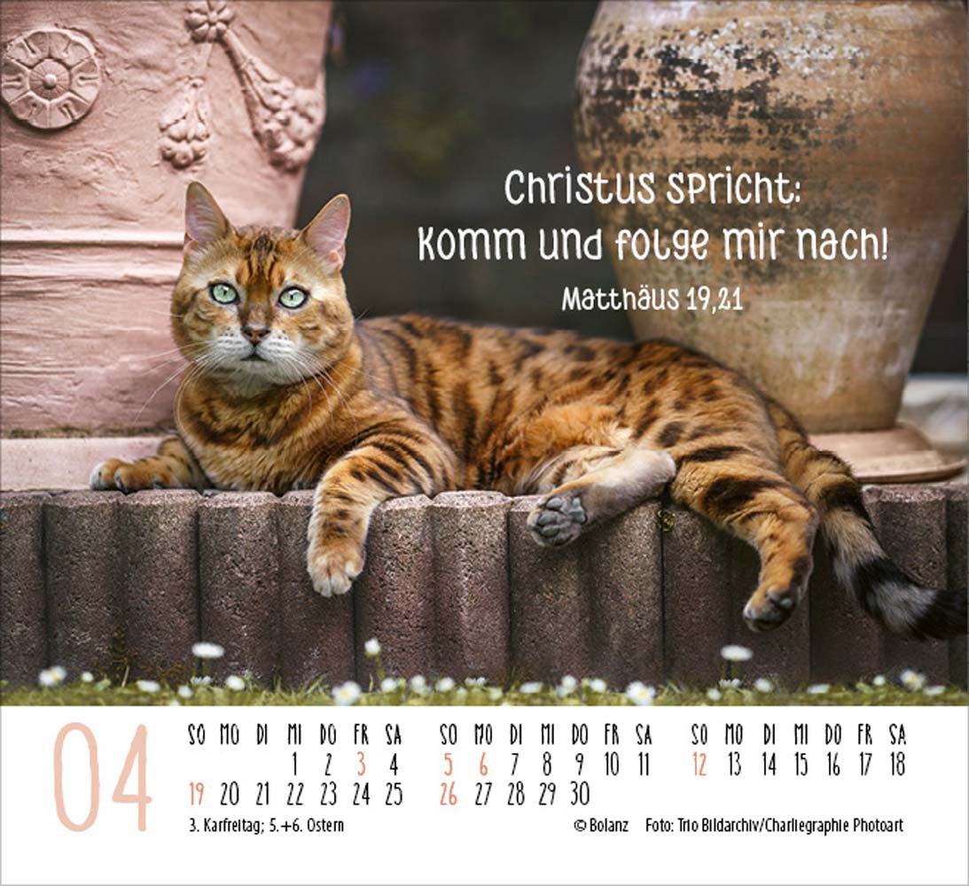 Katzen 2026 - Minikalender  