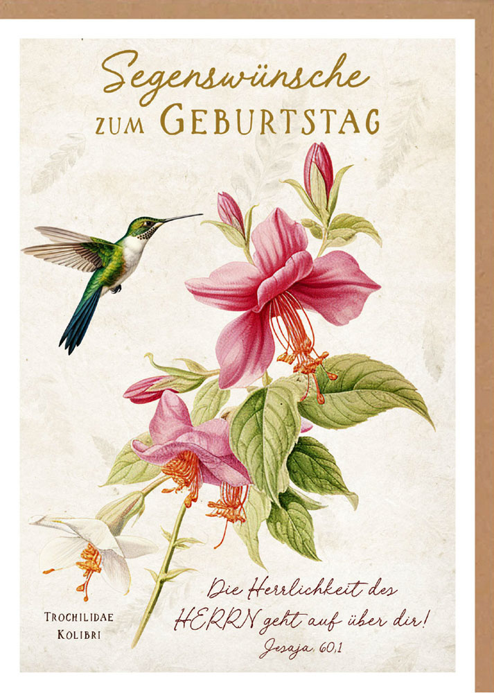 Faltkarte "Segenswünsche zum Geburtstag" (farbenfroher Kolibri)