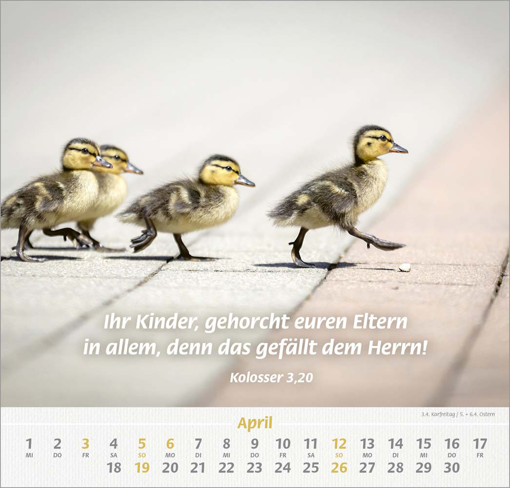 Ich hab dich gern 2026 - Wandkalender