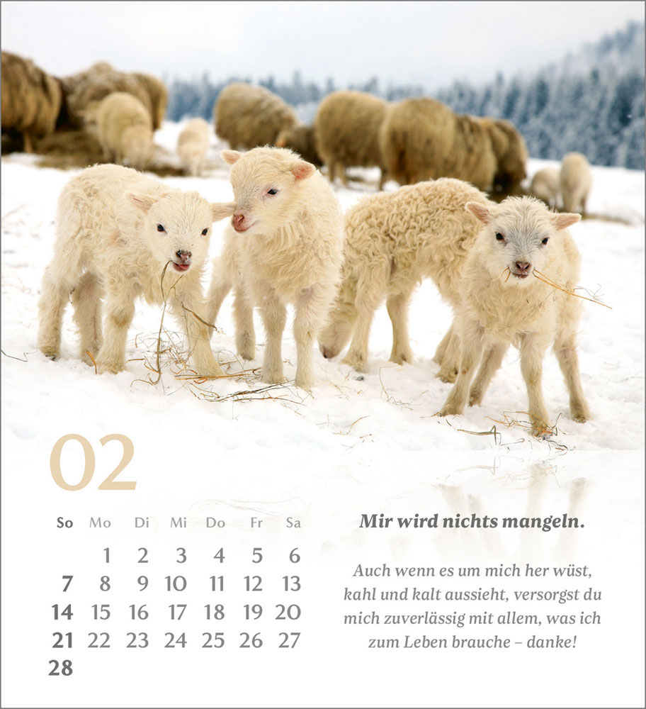 Psalm 23 - Tischkalender 2027