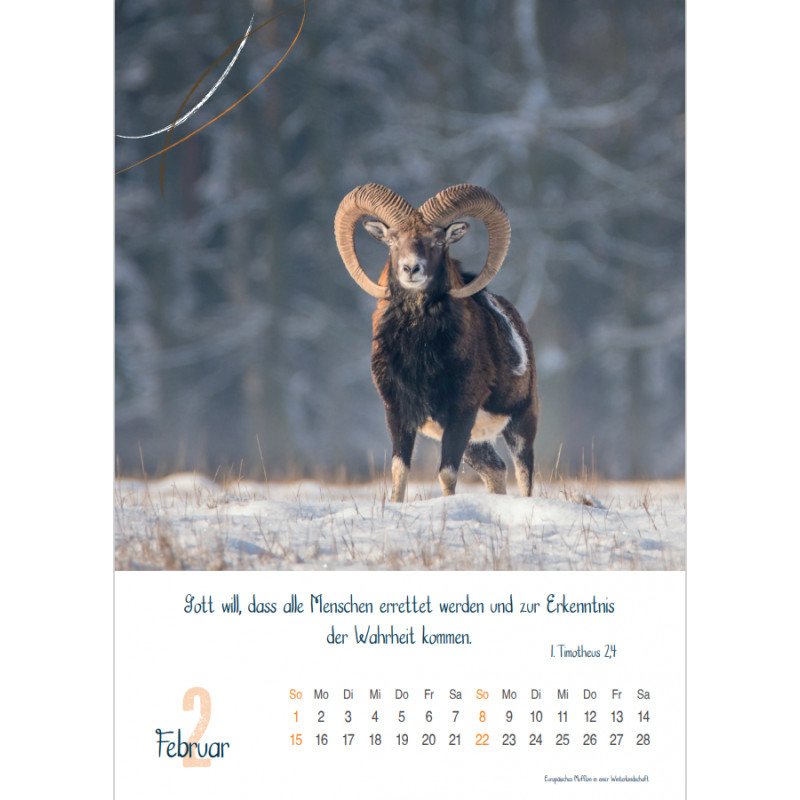 Natur 2026 - Fotokalender
