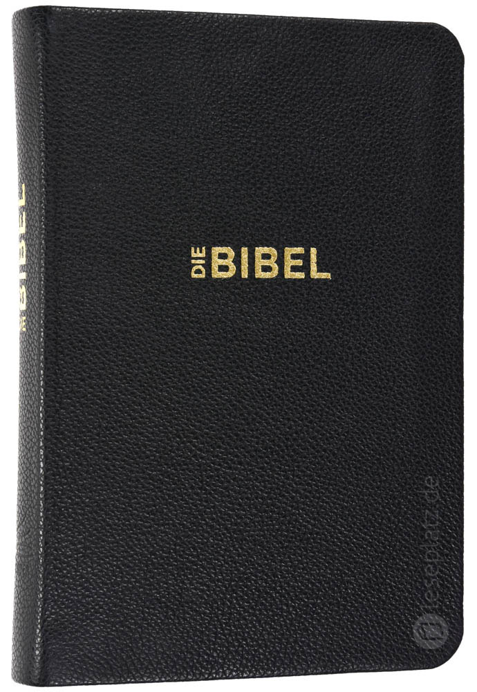 Schlachter 2000 Taschenausgabe - flex.Rindleder schwarz / Goldschnitt