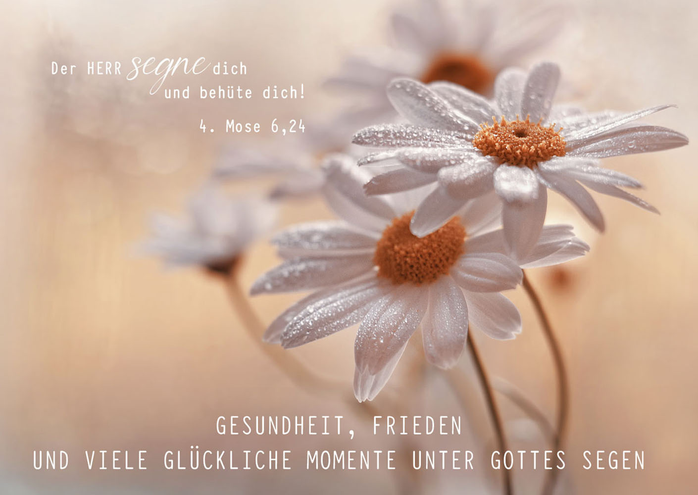 Postkarte "Der HERR segne dich"