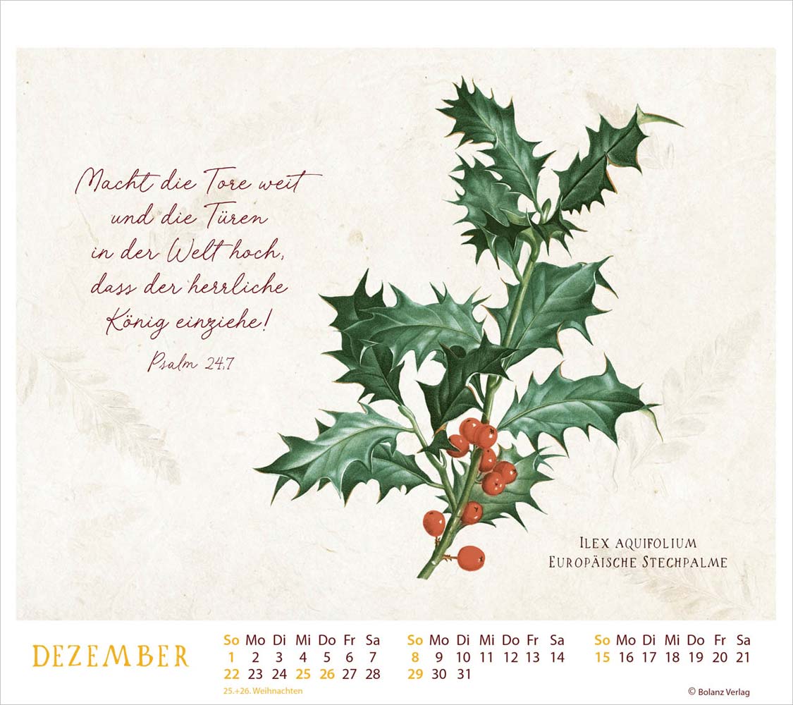 MeisterWerke des Schöpfers 2024 - Tischkalender MeisterWerke des Schöpfers 2024 - Tischkalender
