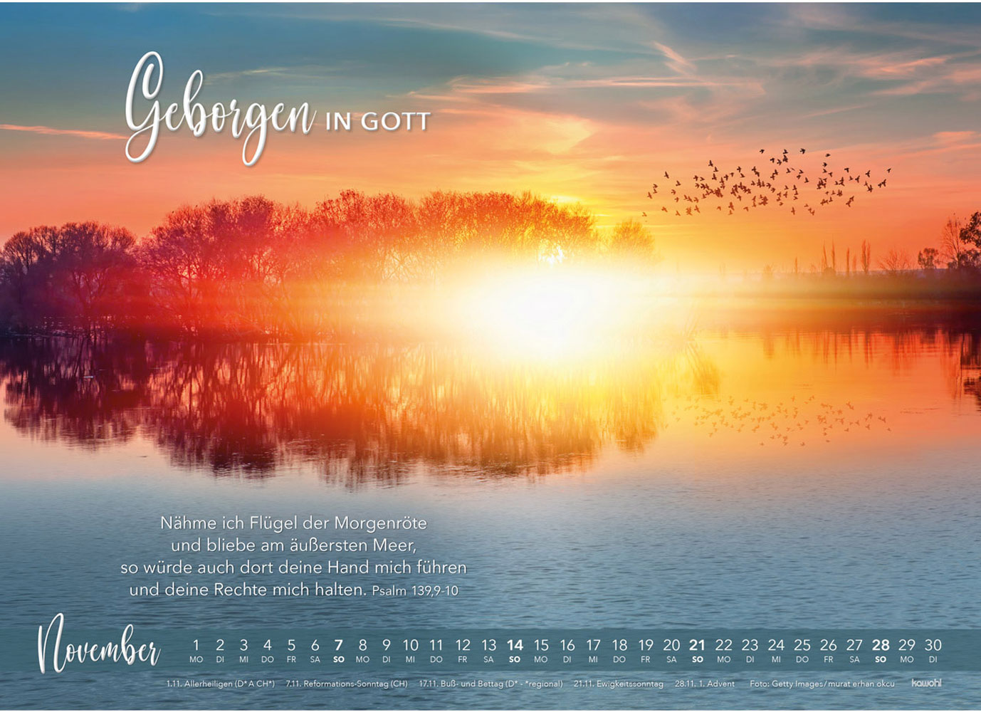Die Liebe bleibt 2027 - Wandkalender