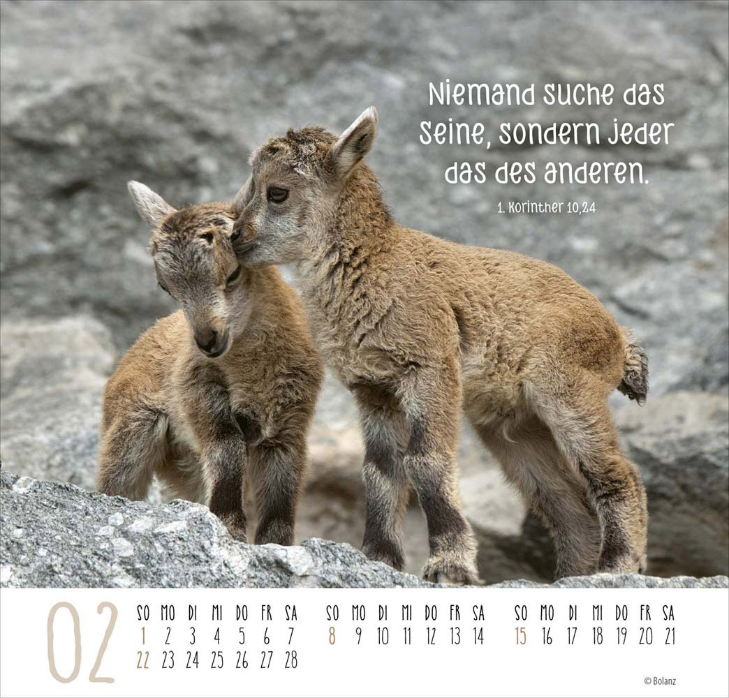 Beste Freunde - Ich mag dich  2026 - Posterkalender