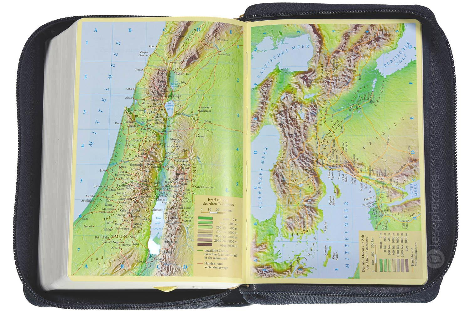 Neues Leben. Die Bibel -  Taschenausgabe - Leder / Reißverschluss