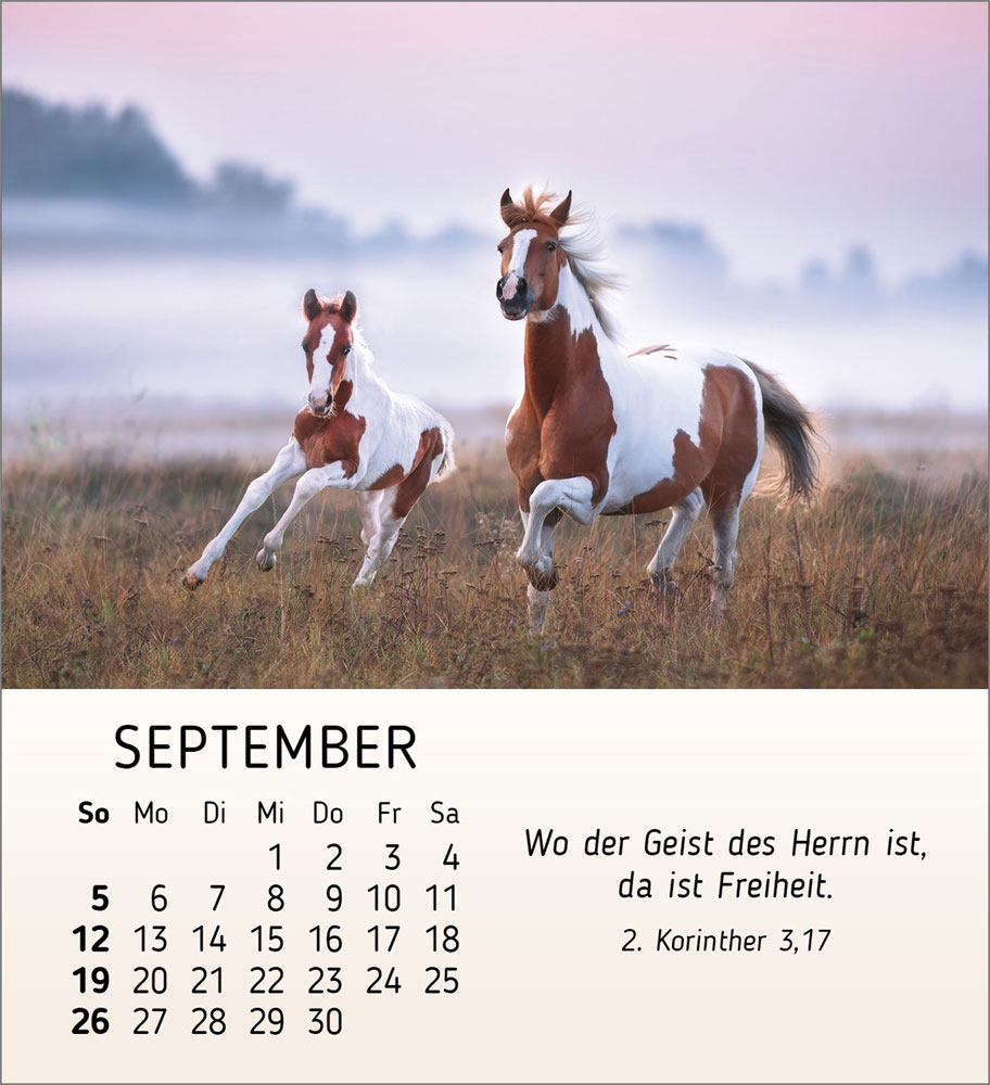 Meine kleinen Freunde 2027