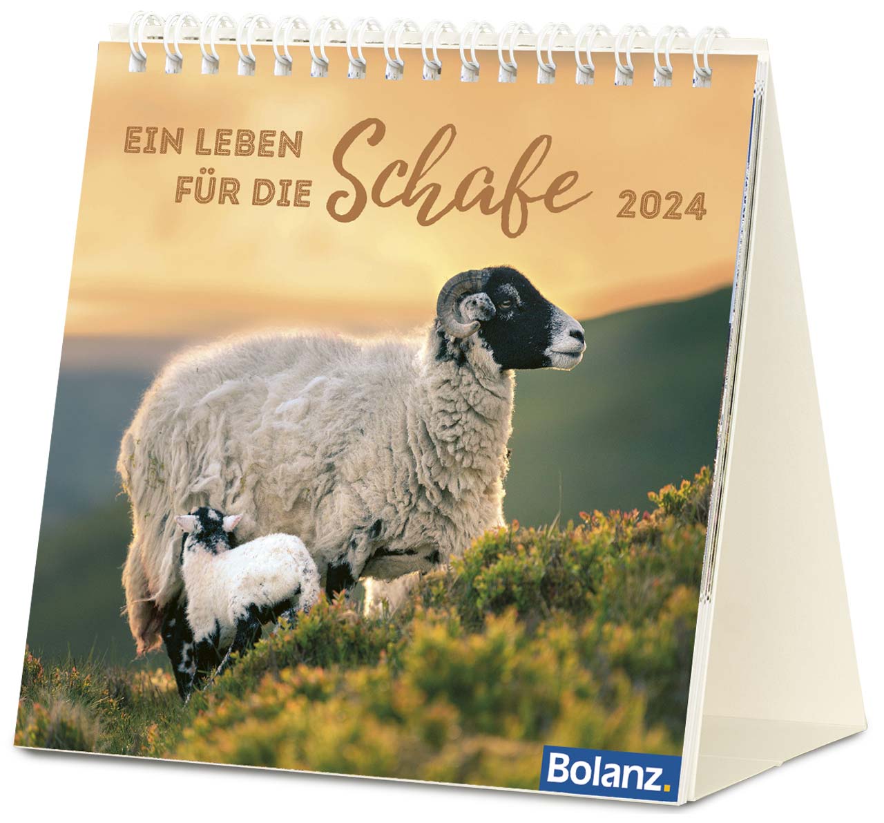 Ein Leben für die Schafe 2024 - Verteilkalender