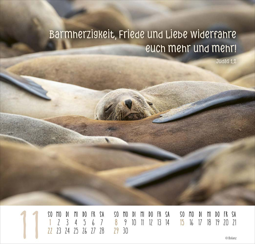 Beste Freunde - Ich mag dich  2026 - Posterkalender