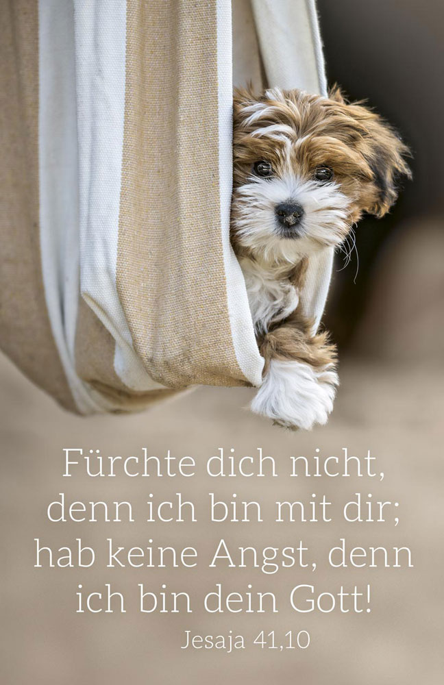 Kalenderkärtchen 2027 ''Hund"