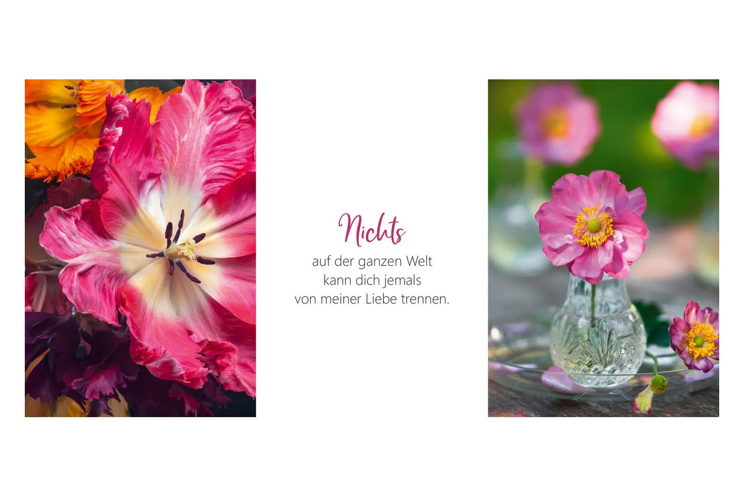 Ich bin bei dir - Dreiklang-Aufstellbuch Ich bin bei dir - Dreiklang-Aufstellbuch